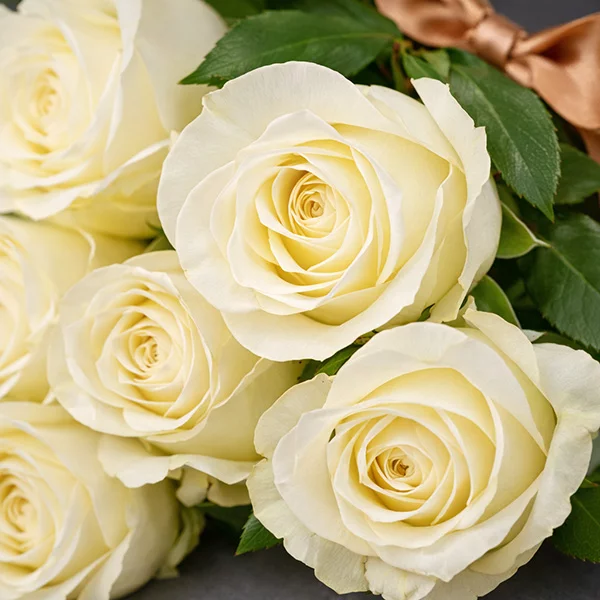 Высокие белые розы (70 см)